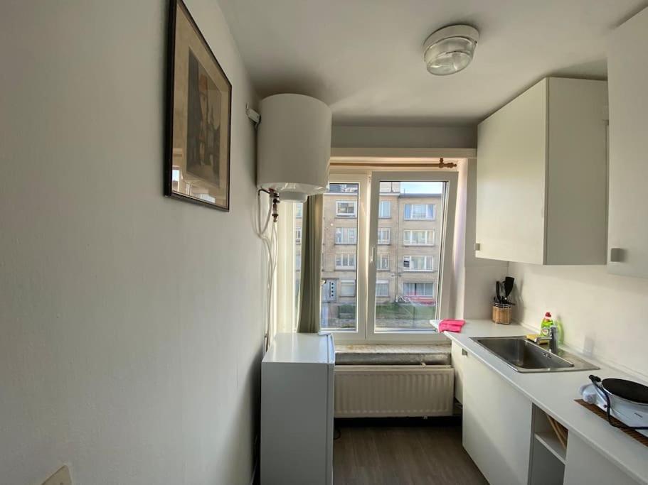 Прекрасная Студия В Г. Антверпен Anversa Esterno foto
